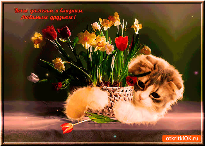 Картинка всем далёким и близким друзьям