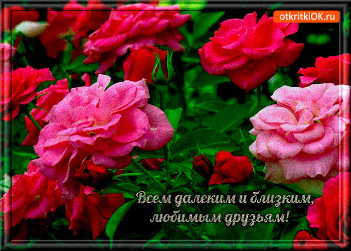 Картинка всем далеким и близким друзьям