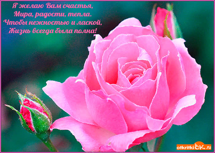 Картинка я желаю вам счастья