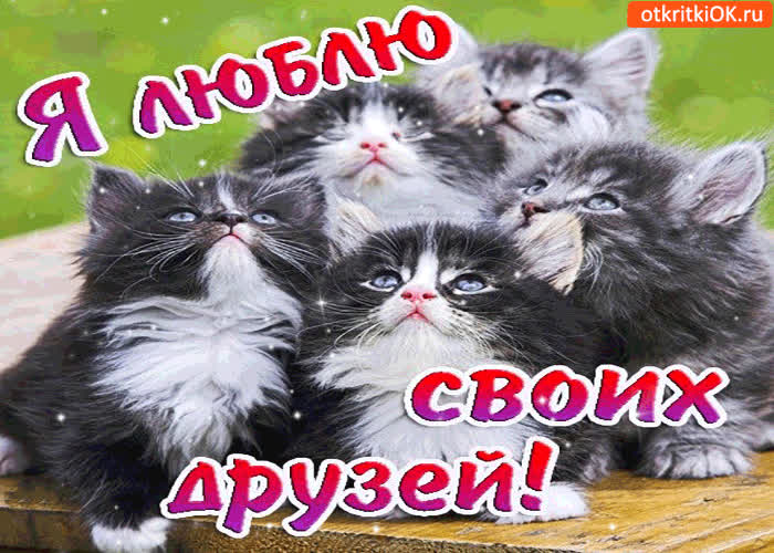 Картинка я люблю своих друзей