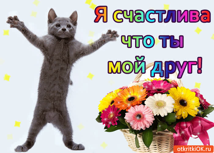 Картинка я счастлива что ты мой друг!