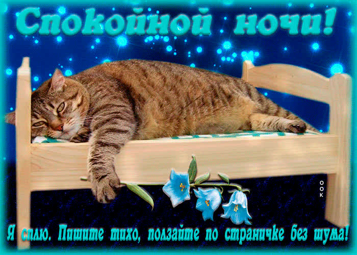 Картинка я сплю, пишите тихо