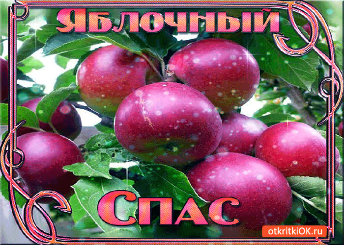 Картинка яблочный спас - дарю тебе свежих яблок