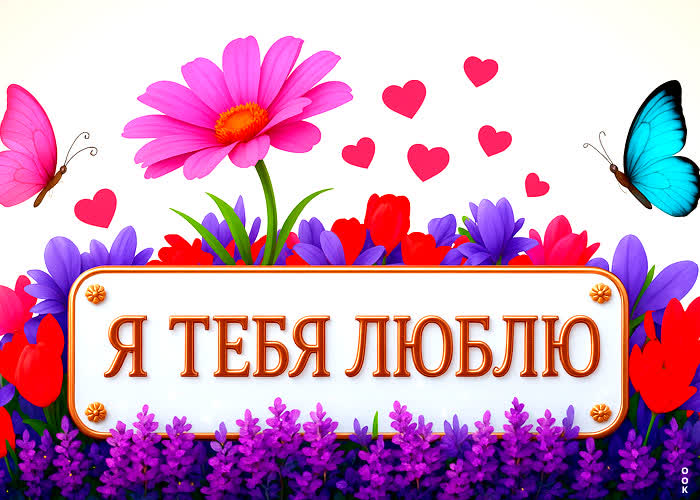 Picture яркая и цветущая открытка с признанием в любви