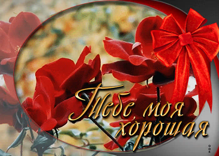 Picture яркая открытка с розочками тебе, моя хорошая