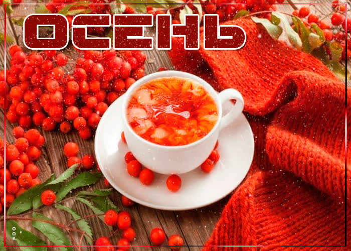 Картинка яркого осеннего настроения
