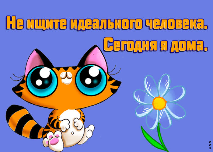 Картинка юморная картинка
