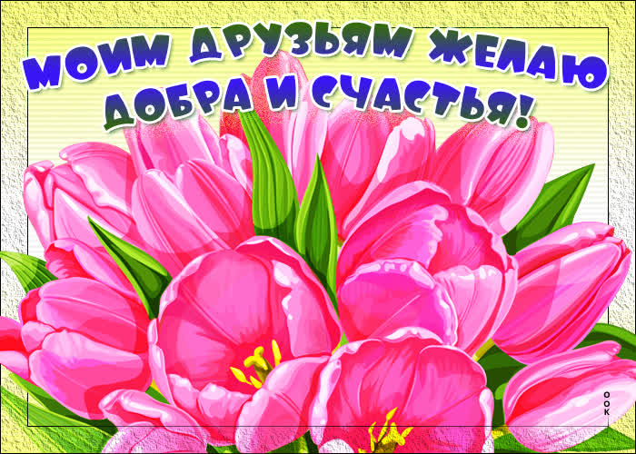 Картинка за нашу дружбу прекрасную