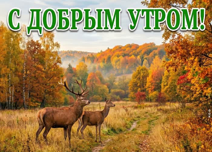Picture за окном осень, а впереди новый день и новые моменты.