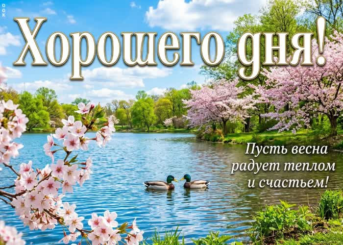 Postcard замечательного дня! пусть будет больше поводов улыбаться