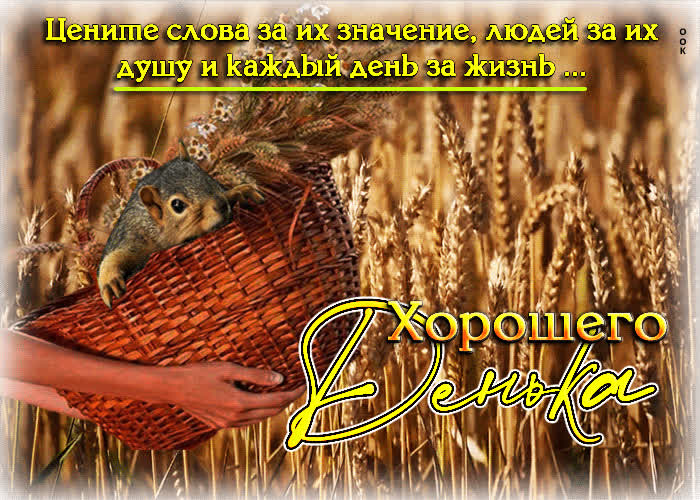 Postcard зажигательная и энергичная открытка цените каждый день за жизнь!