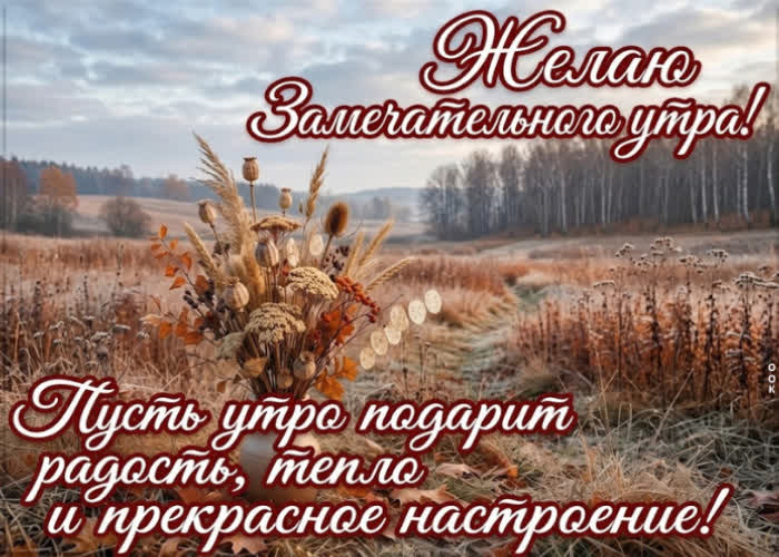 Postcard желаю чтоб всё сегодня складывалось в нужную сторону.
