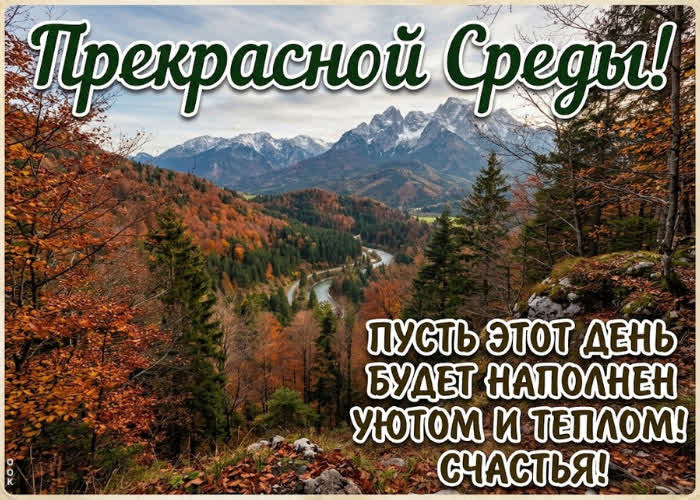 Postcard желаю чтобы среда дала чувство внутренней устойчивости