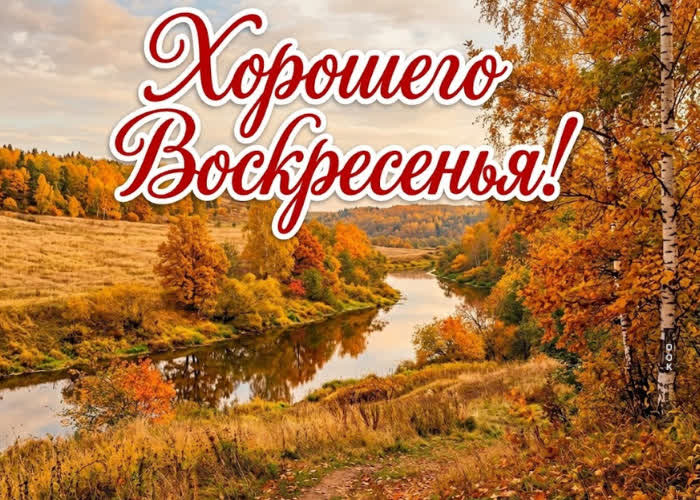Postcard желаю дня, наполненного добром и светлыми чувствами.