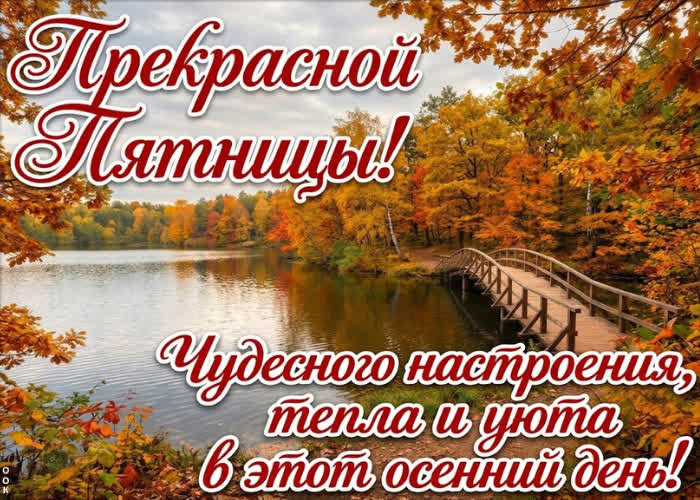 Postcard желаю дня, в котором будет много света и немного волшебства.