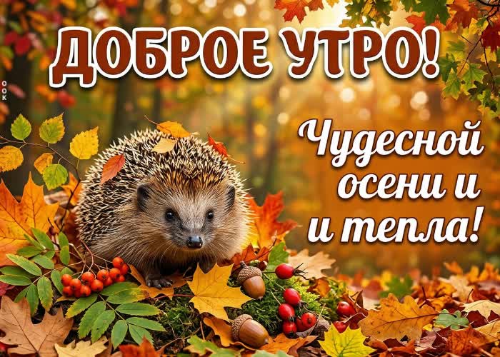 Picture желаю лёгкого утра и красивого осеннего настроения.