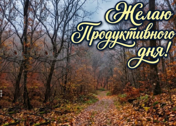 Picture желаю тебе дня, в котором всё важное получается без лишней суеты и с хорошим результатом