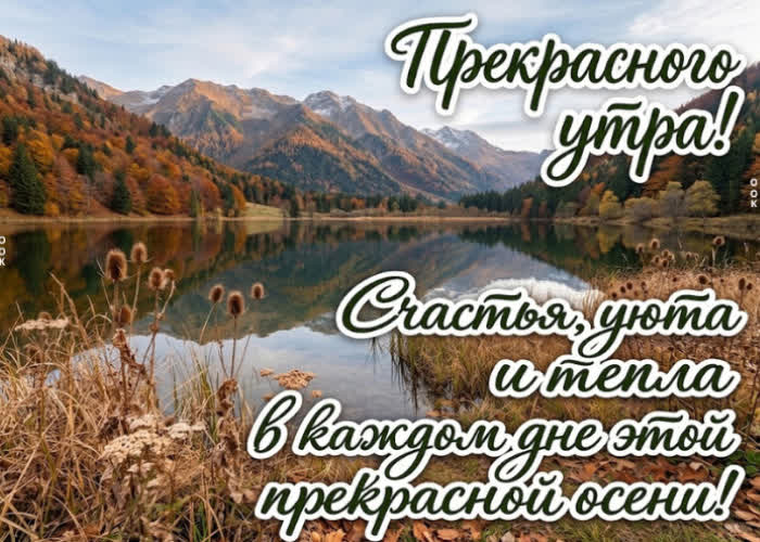 Postcard желаю тебе утра, которое настроит на хорошее и даст уверенность в каждом следующем шаге