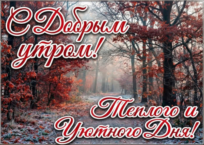 Postcard желаю тебе утра, с которого всё начинается легко и складывается именно так, как нужно.