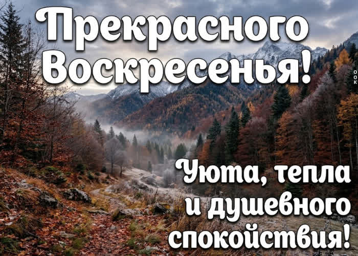 Postcard желаю тебе воскресенья с ясными мыслями и ощущением, что всё идёт своим чередом.