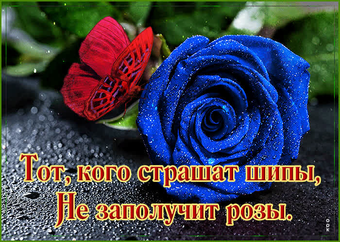 Картинка желаю счастья, вот и всё