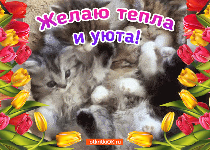 Картинка желаю тебе тепла и уюта