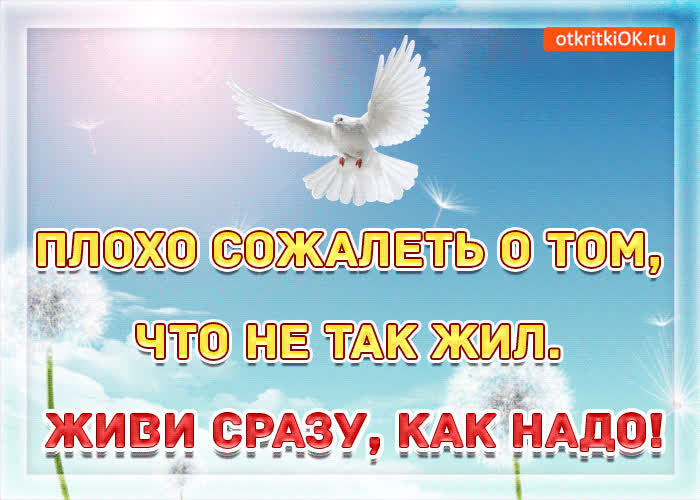 Картинка живи сразу как надо