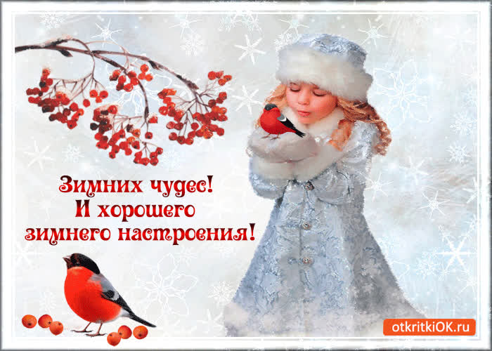 Картинка зимних чудес